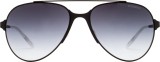 Carrera 113/S 003/HD 253