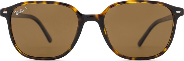 Ray-Ban Leonard RB2193 902/57 53